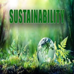 Sustainability Strategies from JLL Part 2