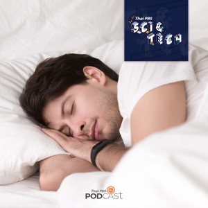 Sci &amp; Tech EP. 345: ทำไมคนเราถึง &quot;ฝัน&quot; ในขณะนอนหลับ