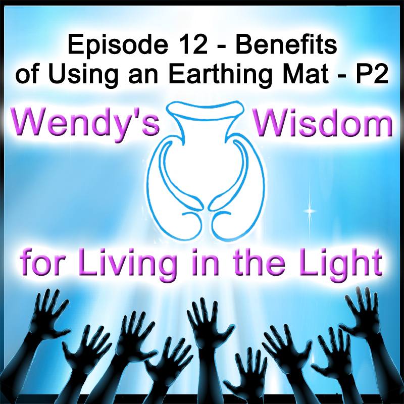 Episode 12 Benefits Of Using An Earthing Mat P2