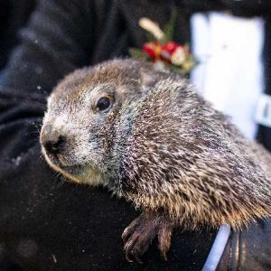 Record-breaking election in Costa Rica, Sweden brings back a Cold War tactic, and a large squirrel predicts the weather