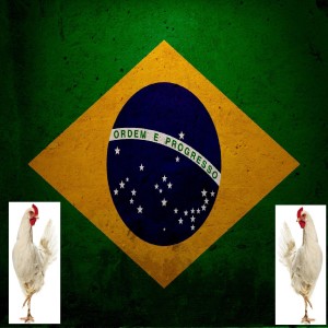 A Florida Man story (this time for two of them), Brazilian chicken in China, and Tim tells a new listener where to find his lost father