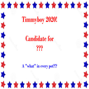 Timmyboy is running for something and he can't depend on Jolynn to help him gather questionable items to fulfill his campaign promises
