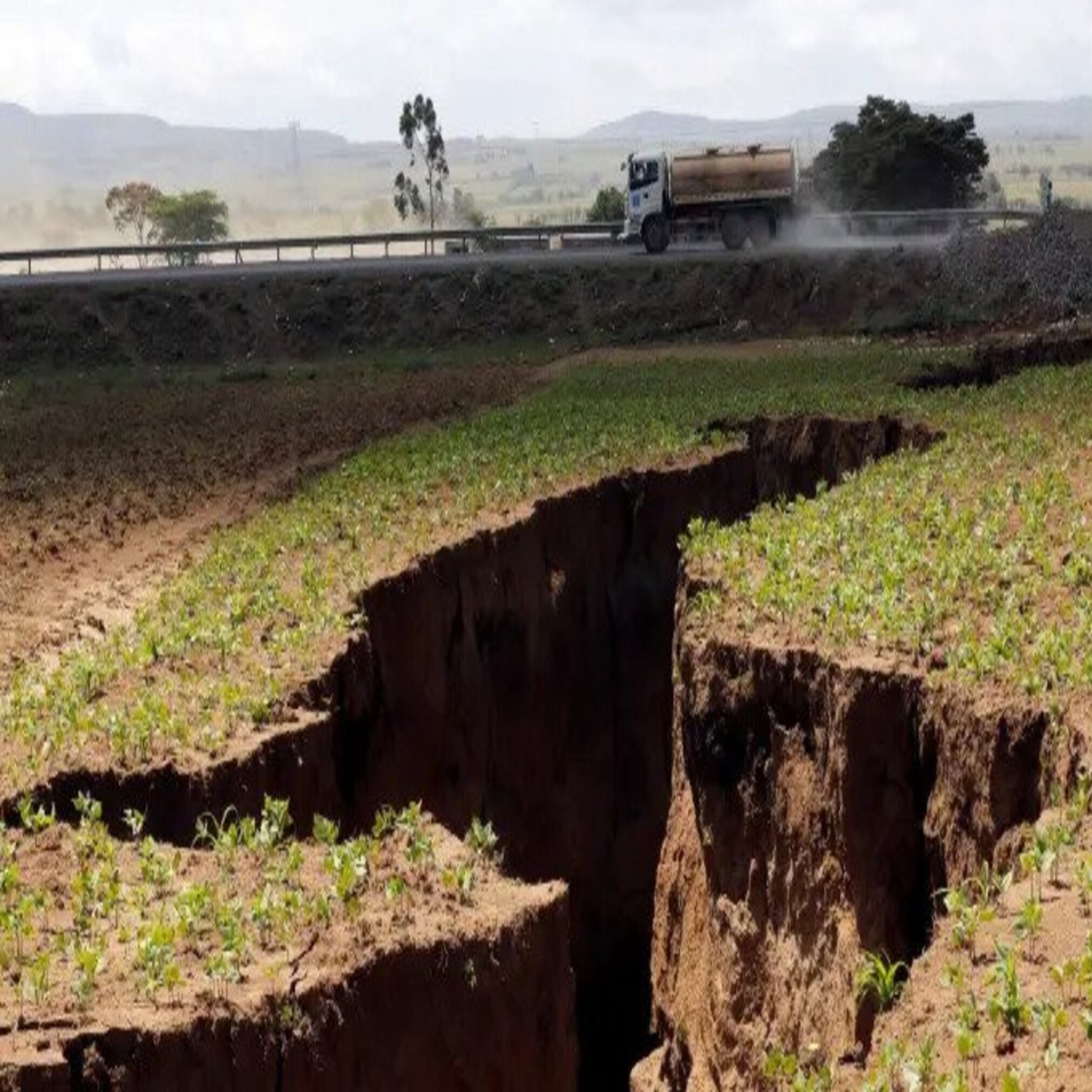 Africa is splitting in half (literally, but when?), and Tim’s thesis on Hitler’s stupid mustache