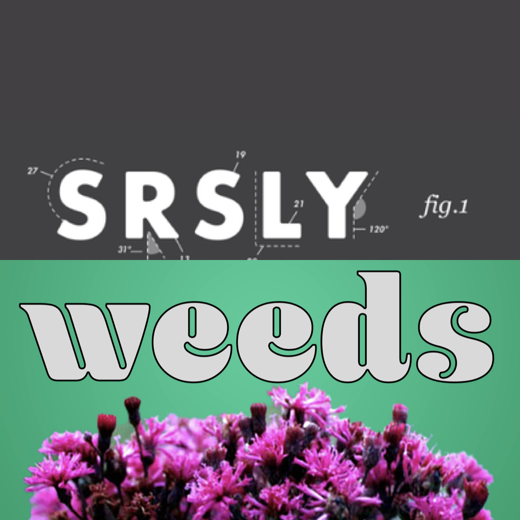 Ironweeds