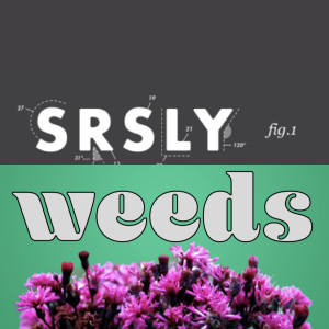 105 - Srsly Weeds and Library Socialism