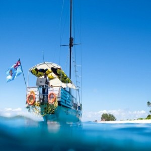 Fiji Shark Dive
