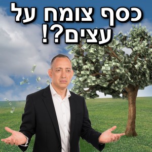 כסף צומח על העצים?!