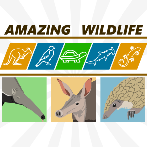 Anteaters | Aardvark | Pangolins