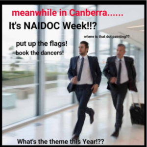 106 - NAIDOC Weets