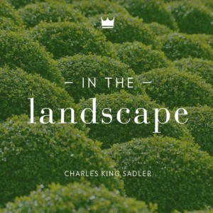 Real Estate and the Landscape