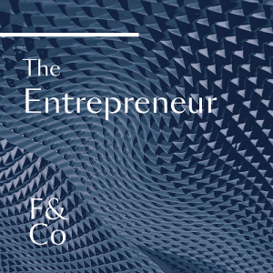 The Entrepreneur - Bridgeweave