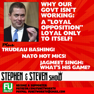 STEPHEN & STEVEN - WHY OUR GOVT IS DYSFUNCTIONAL (HINT: 'LOYAL' OPPOSITION)