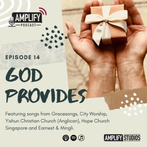 Amplify Podcast Episode 14 // God Provides