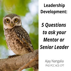 Leadership Development: 5 Questions to ask your MENTOR or SENIOR LEADER!!