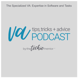 VATTA #205: The Specialized VA: Expertise in Software and Tasks