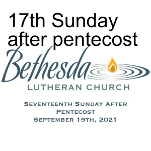 17th Sunday after pentecost