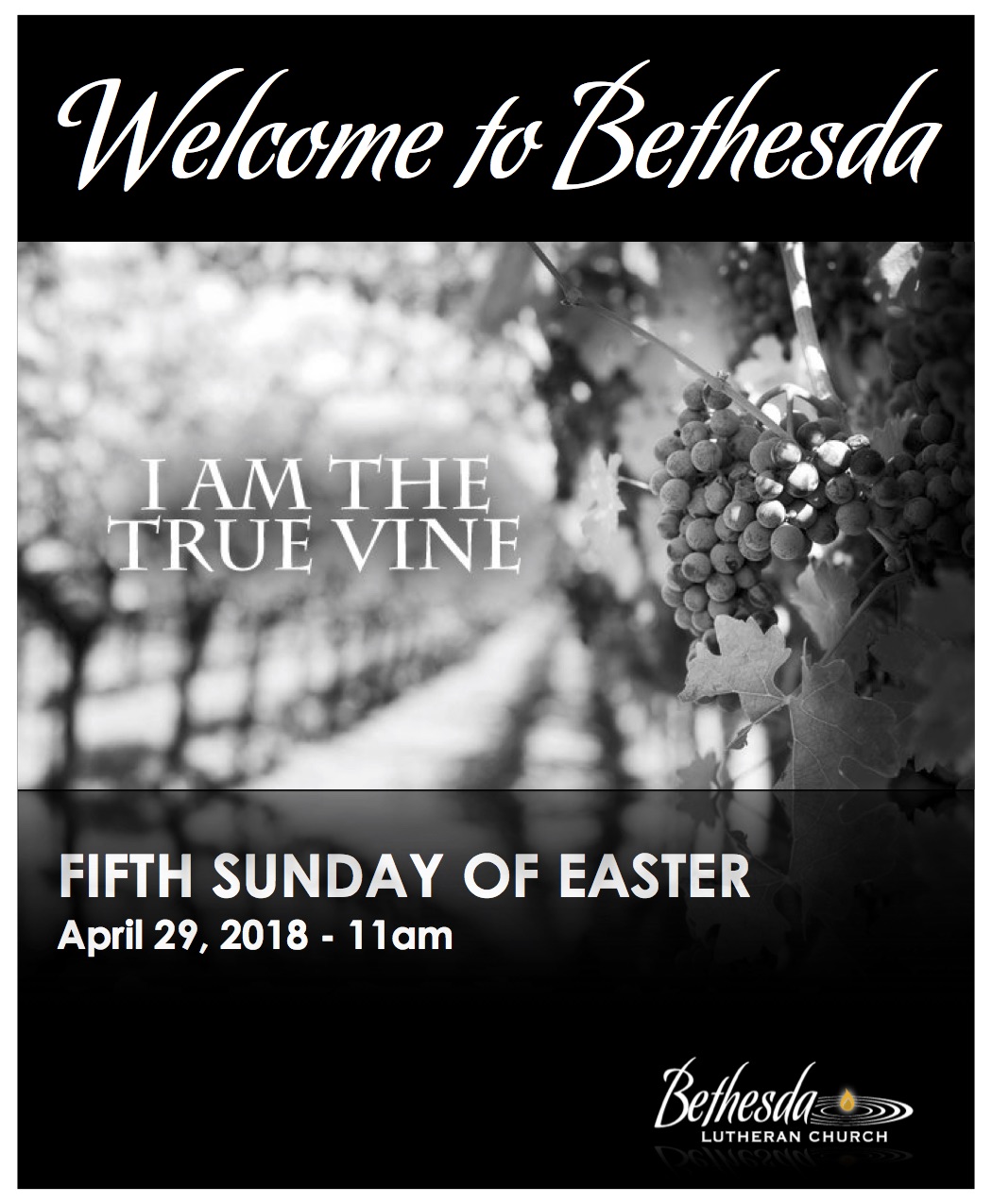 The Fifth Sunday of Easter 