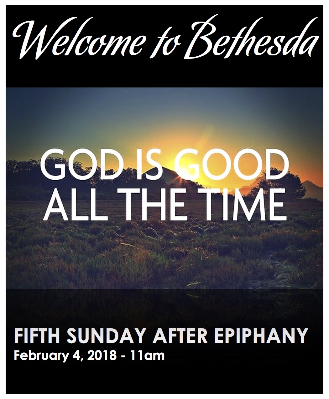 The Fifth Sunday after Epiphany: “Bugs and Birds” by Pastor Tom Welch 2.4.2018