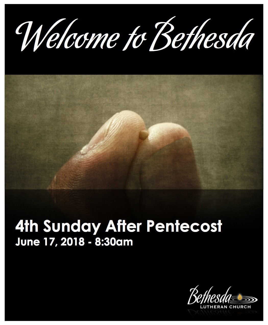The 4th Sunday after Pentecost 