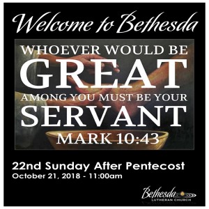The 22nd Sunday after Pentecost 