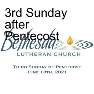 3rd Sunday after Pentecost