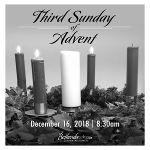 The Third Sunday of Advent "The Ax is Lying at the Roots" by Pastor Sarah Schaffner 12.16.18