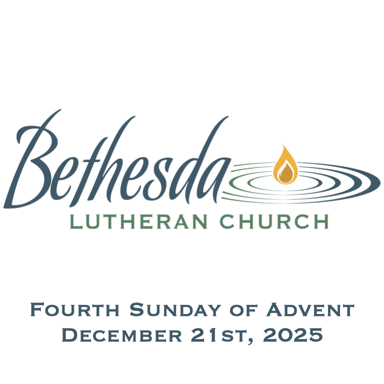 Safe Harbor: Awaiting the dawn of Christ- Week 4 Safe Harbor: Awaiting the dawn of Christ- Week 4