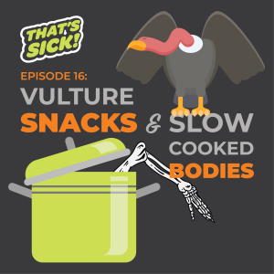 16: Vulture Snacks and Slow Cooked Bodies