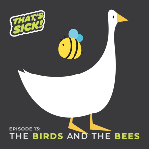 13: The Birds and the Bees