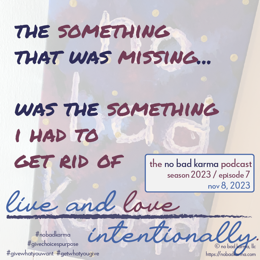 cover of episode the something that was missing was the something i had to get rid of