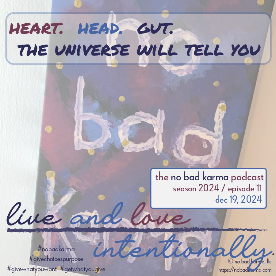 cover of episode heart.  head.  gut.  or... the universe will tell you.