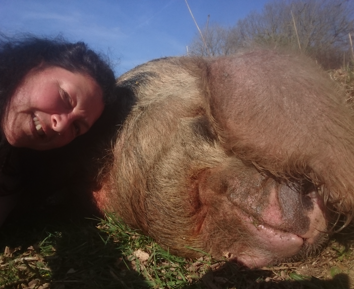 Pigs and Stress (S1Ep6)