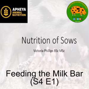 Feeding the Milk Bar (S4 E1)