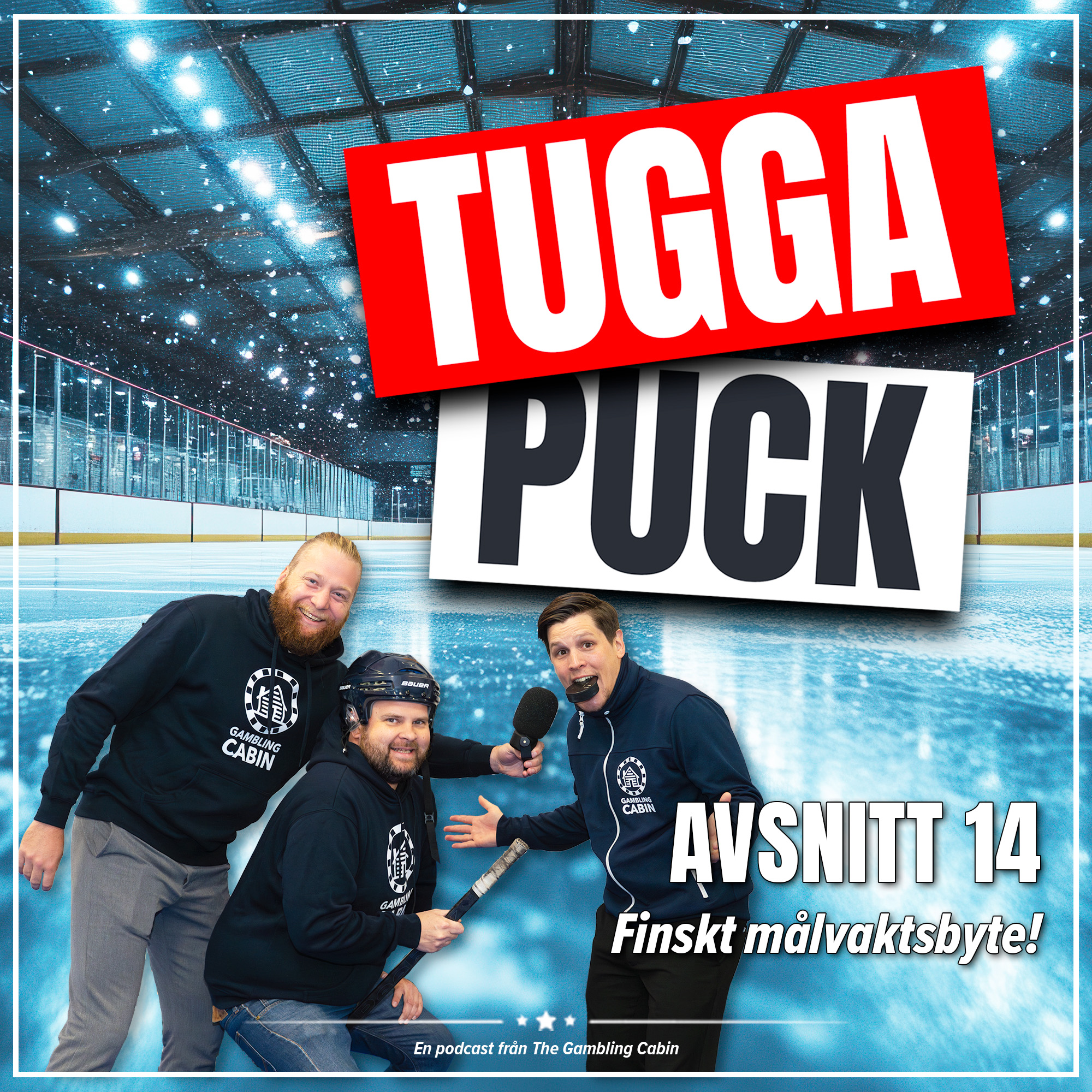 Avs. 14 - Finskt målvaktsbyte