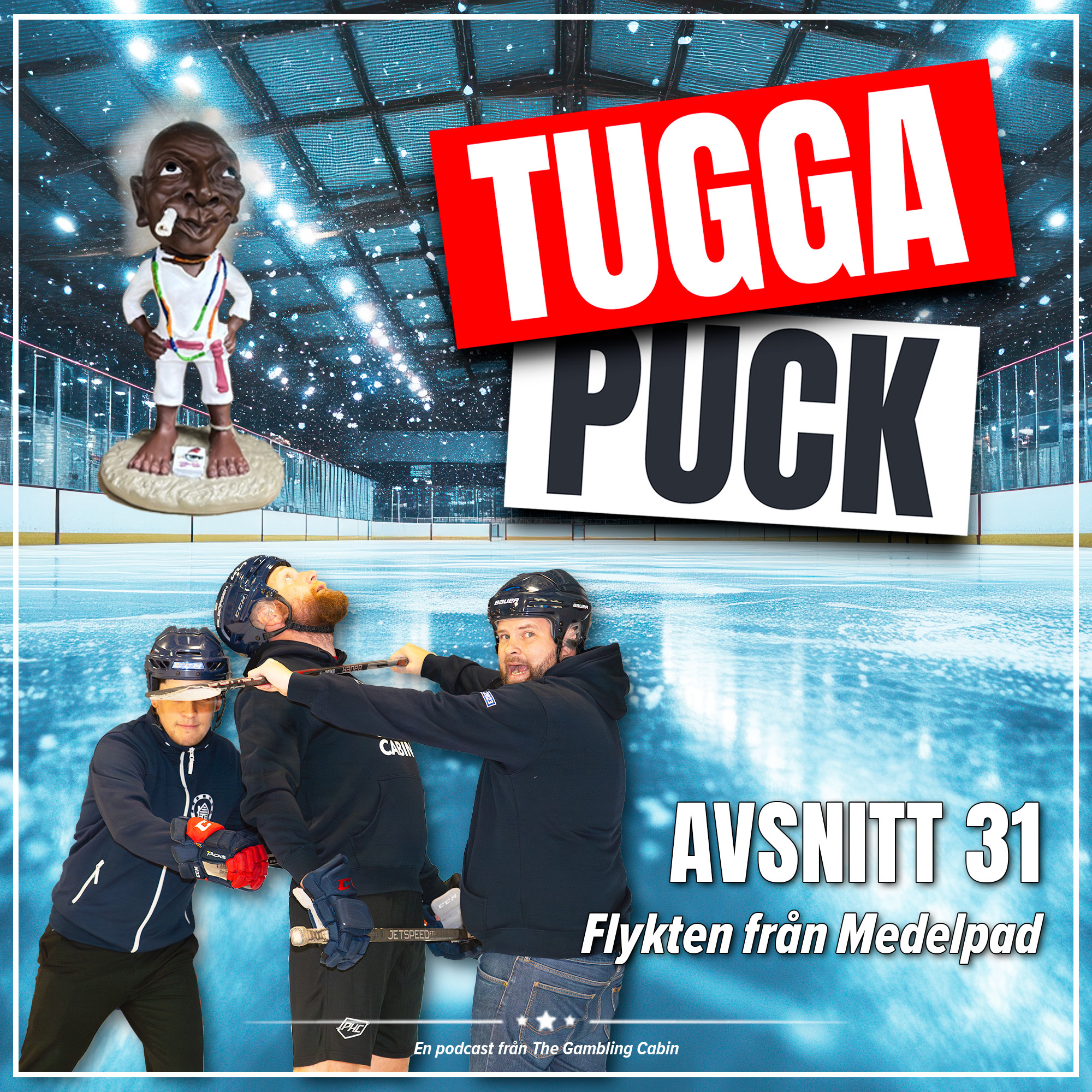 Avs. 31 - Flykten från Medelpad