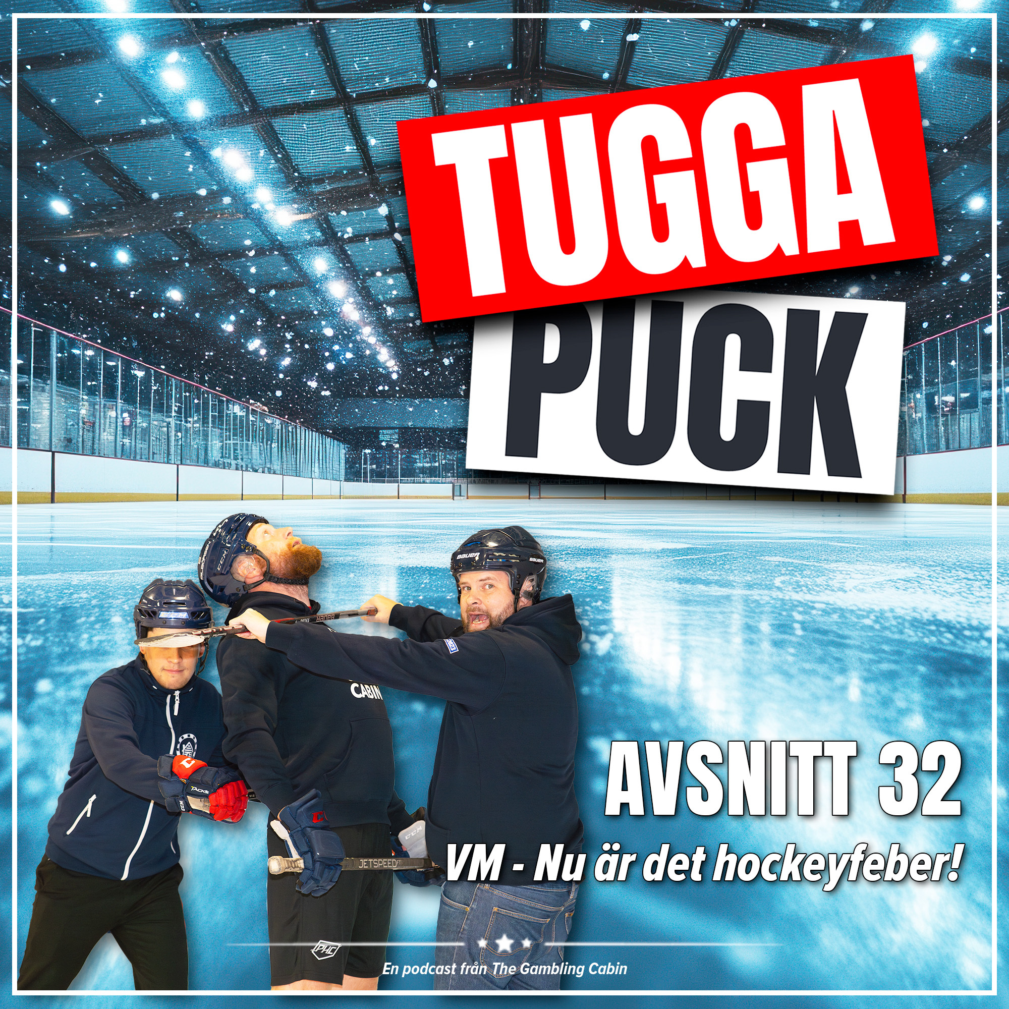 Avs. 32 - VM - Nu är det hockeyfeber!
