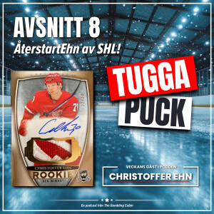 Avs. 8 - ÅterstartEhn av SHL!