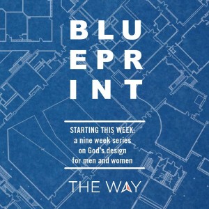 Blueprint: Femininity Restored