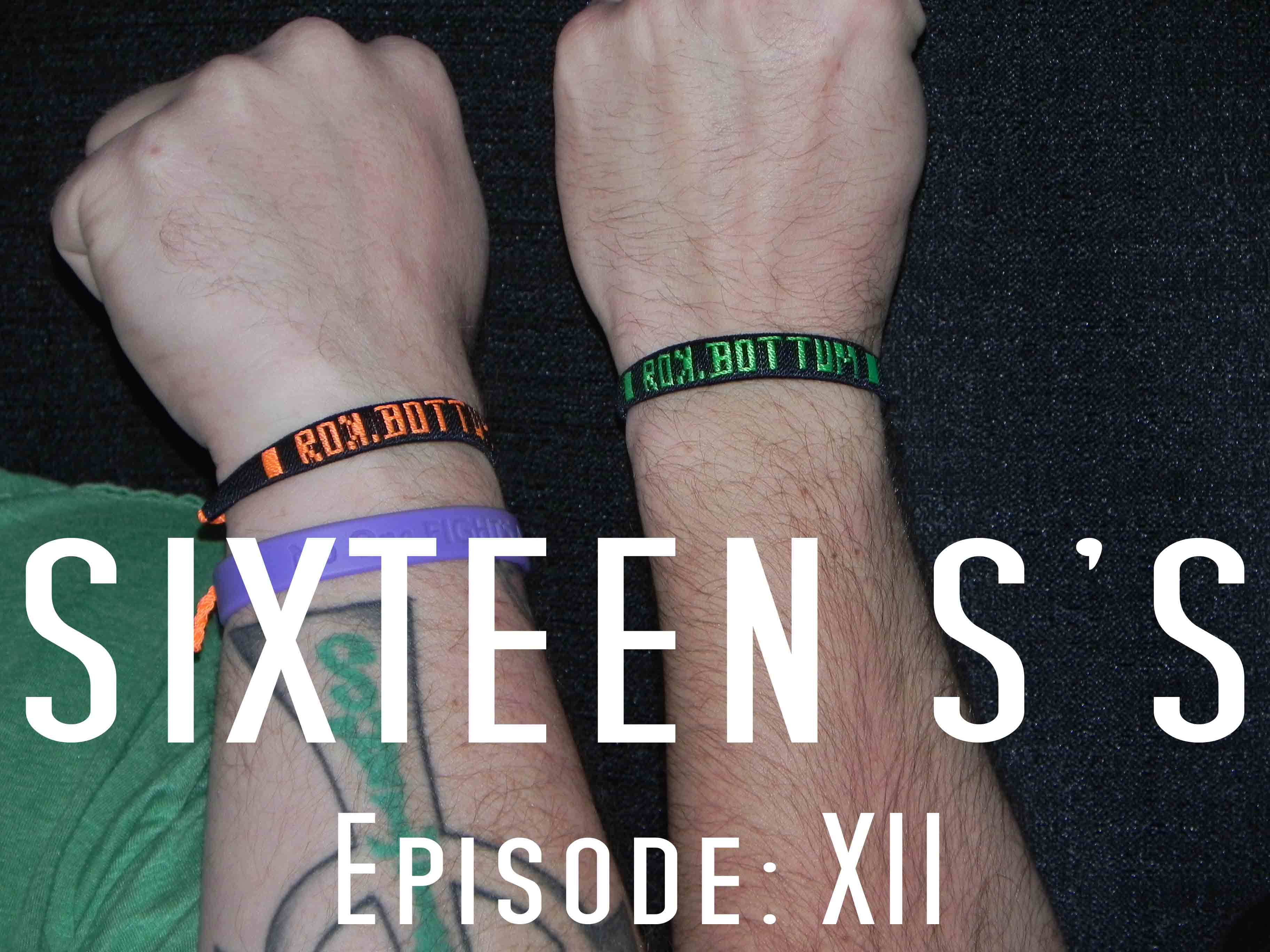 Sixteen S's (Episode XII)