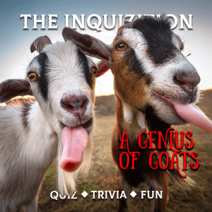 The Inquizition s03e15 A Genius of Goats