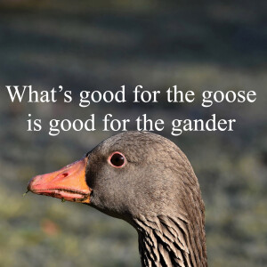 Whats Good for the Goose is good for the Gander.