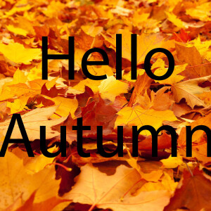 Hello Autumn!
