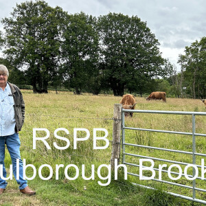 Trip to Pulborough Brooks.