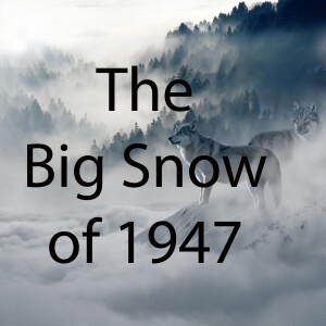 The Big Snow of 1947