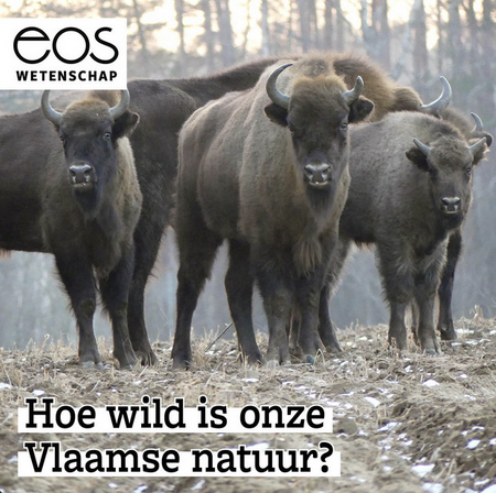 Eos Wetenschap