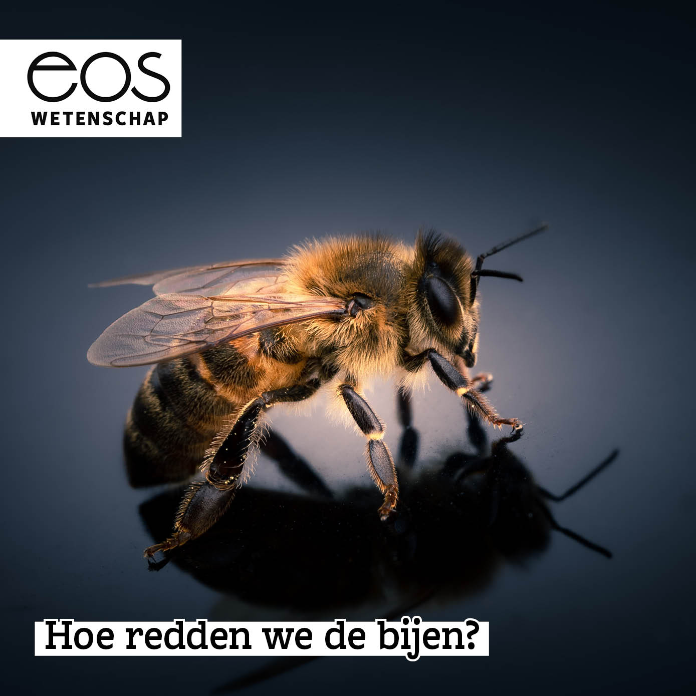 Eos Wetenschap