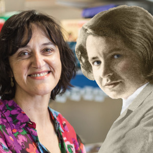 Genetica Hilde Van Esch over heldin Rosalind Franklin, de ontdekster van DNA