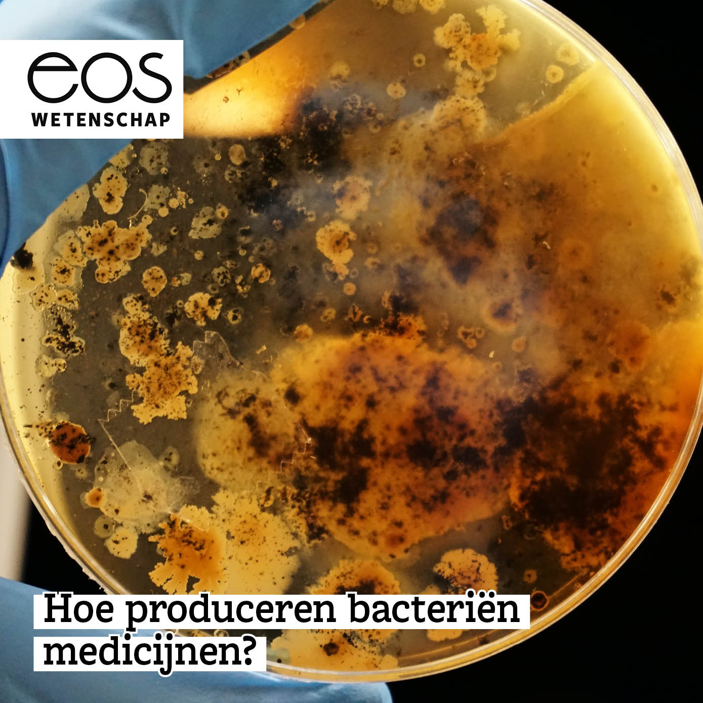 Eos Wetenschap