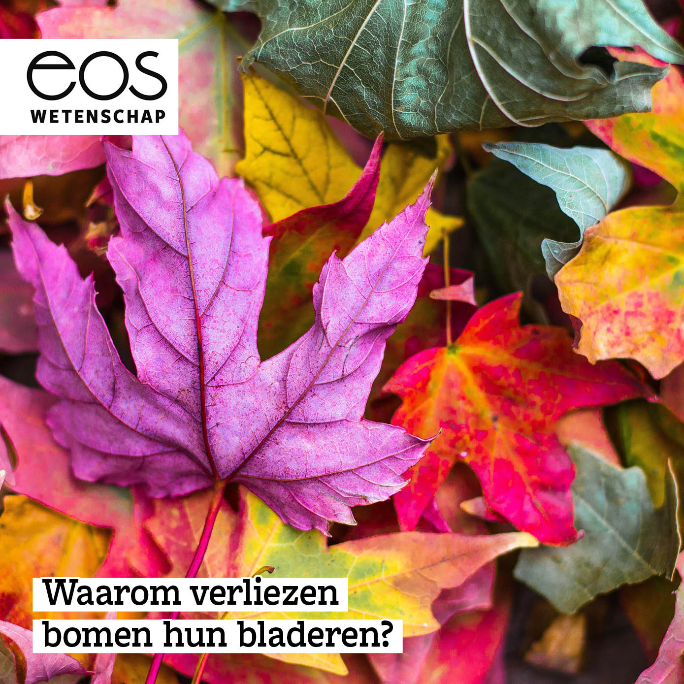 Eos Wetenschap