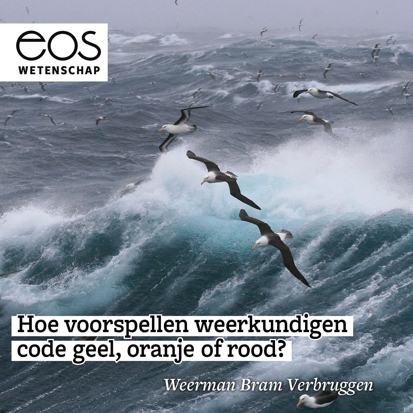 Eos Wetenschap